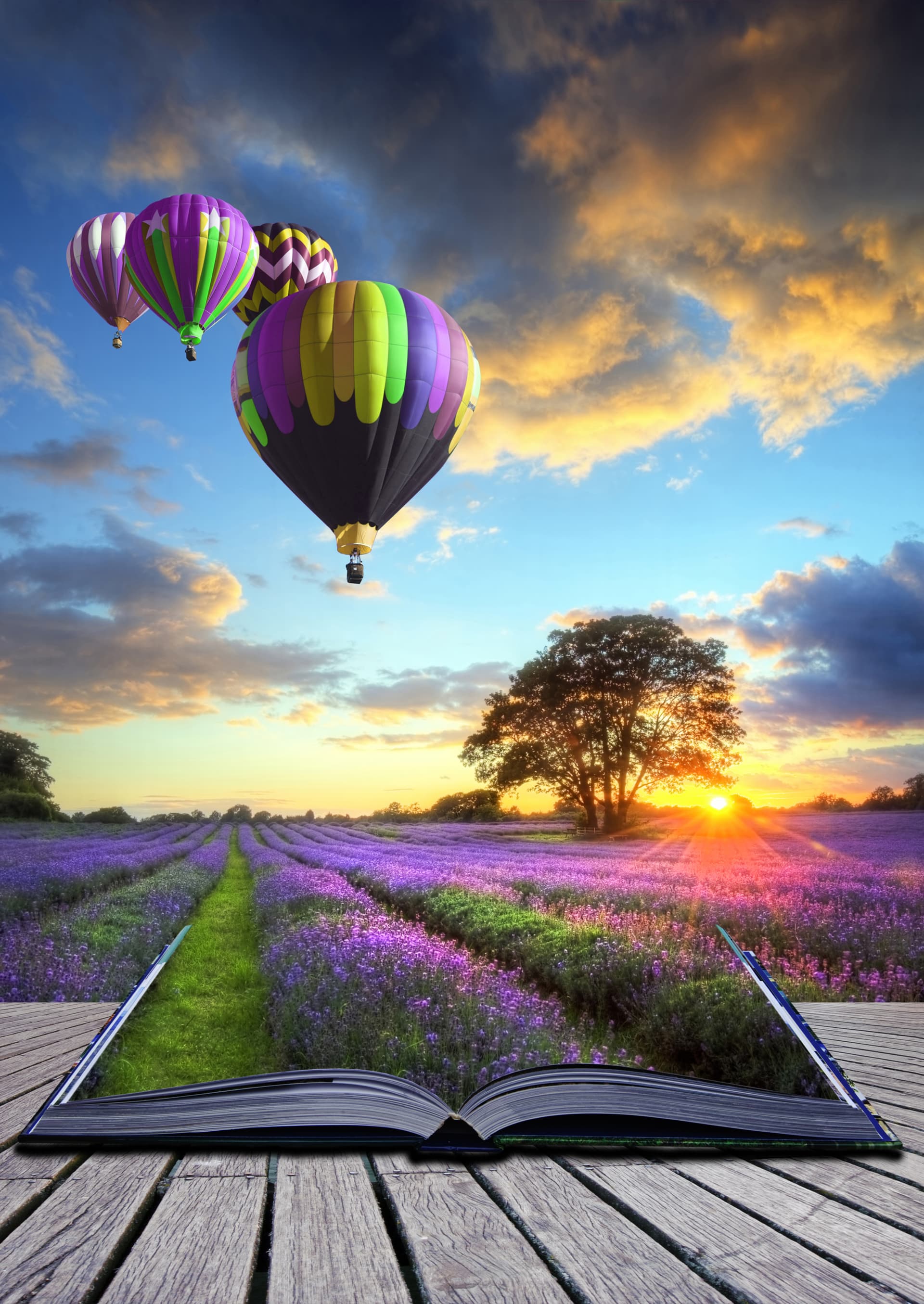 Hot Air Balloon